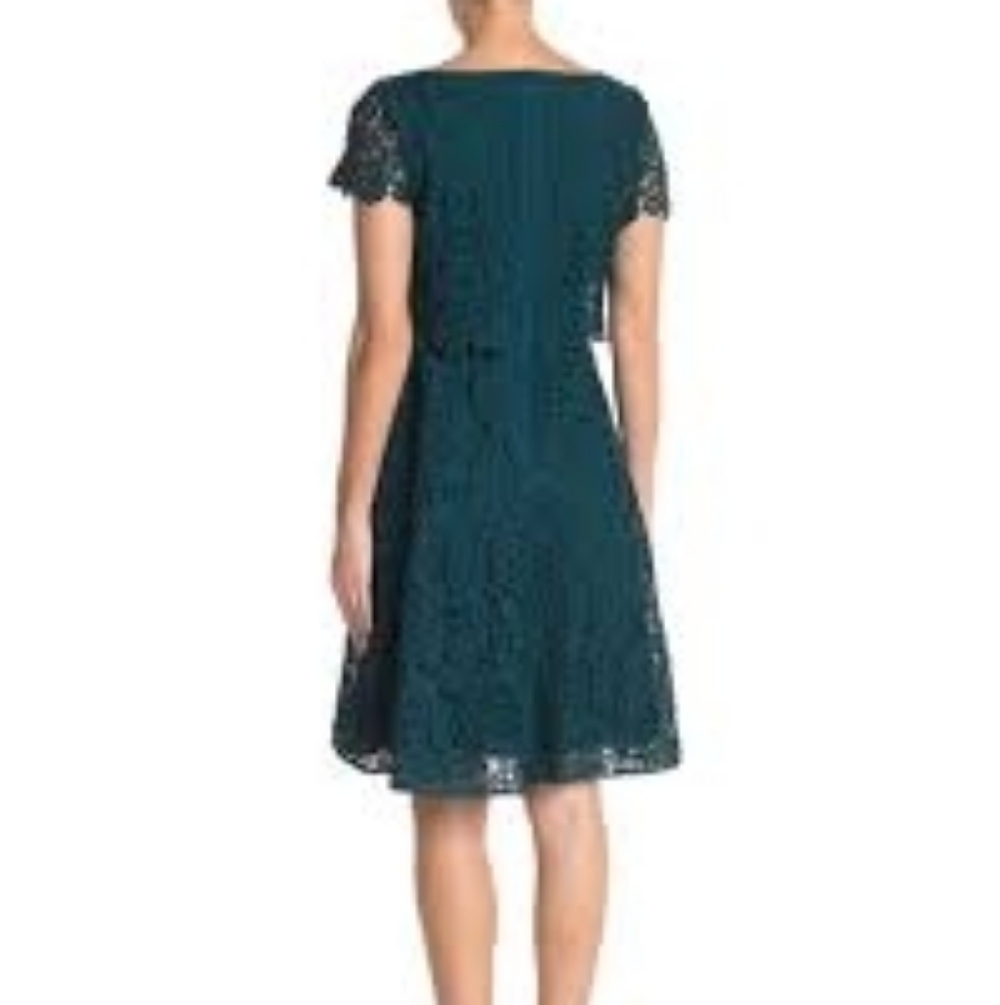 Shani Popover Bodice Fit and Flare Embroidered Dress - Picture 3 of 8